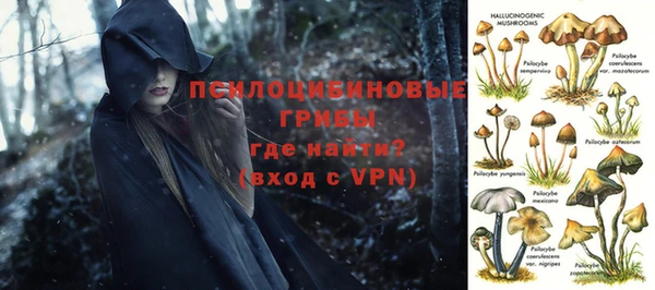 винт Абаза